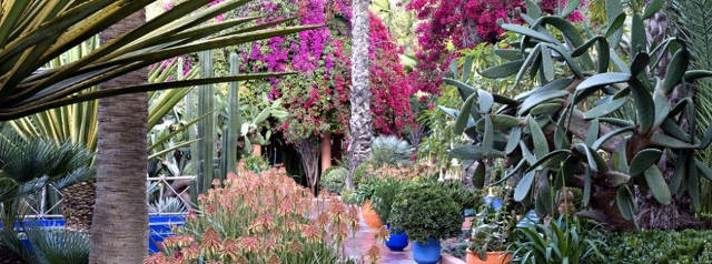 Jardin Majorelle de Marrakech